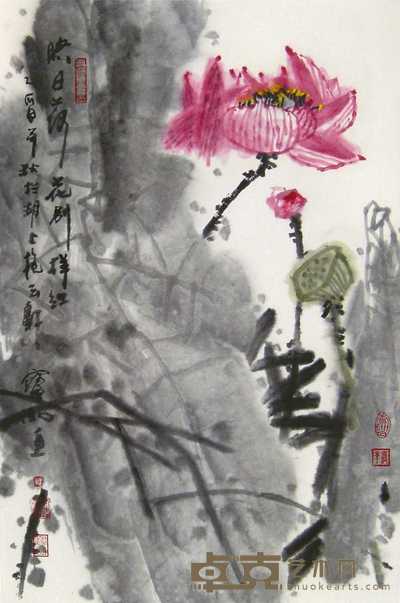 程宝泓 映日荷花 立轴 68.5×46cm